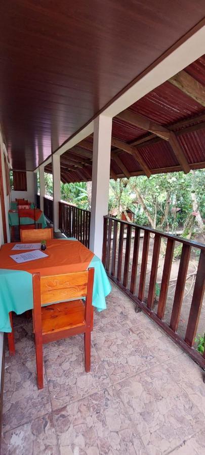 Gecko De Tortuguero Bed & Breakfast Exterior photo