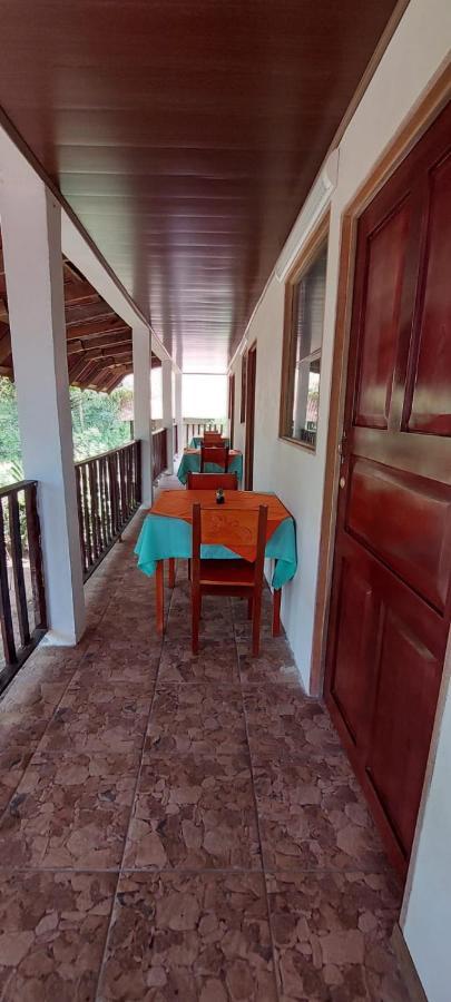 Gecko De Tortuguero Bed & Breakfast Exterior photo