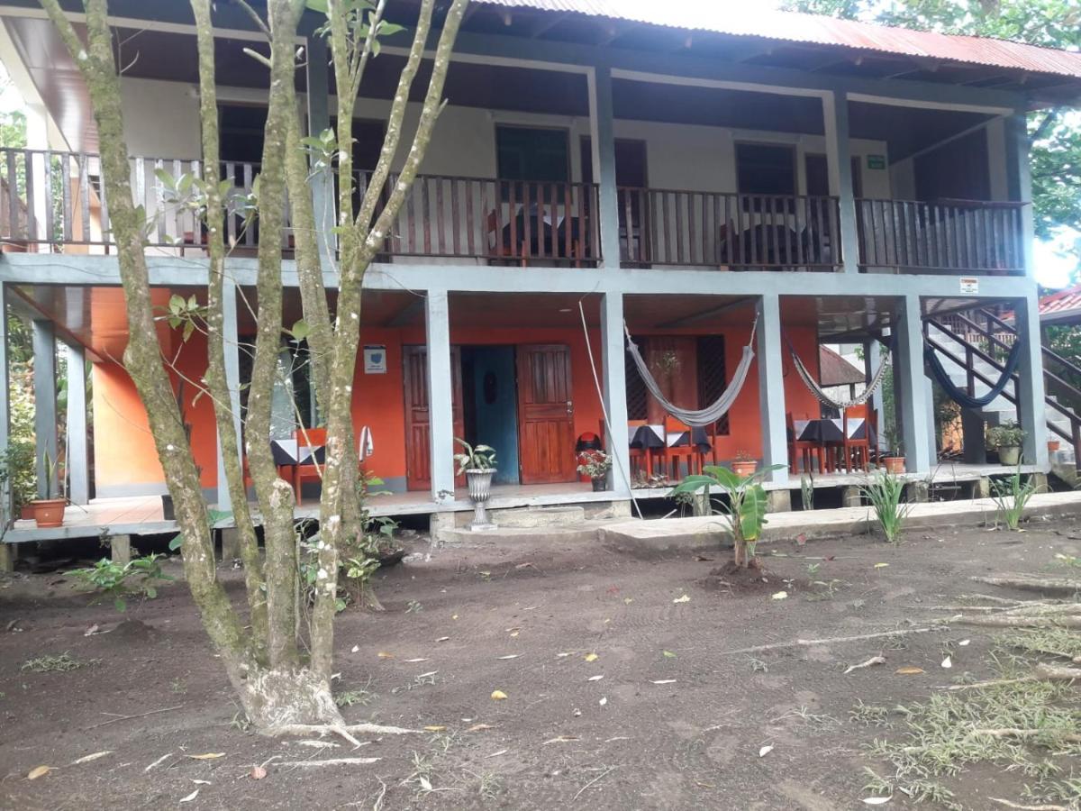 Gecko De Tortuguero Bed & Breakfast Exterior photo