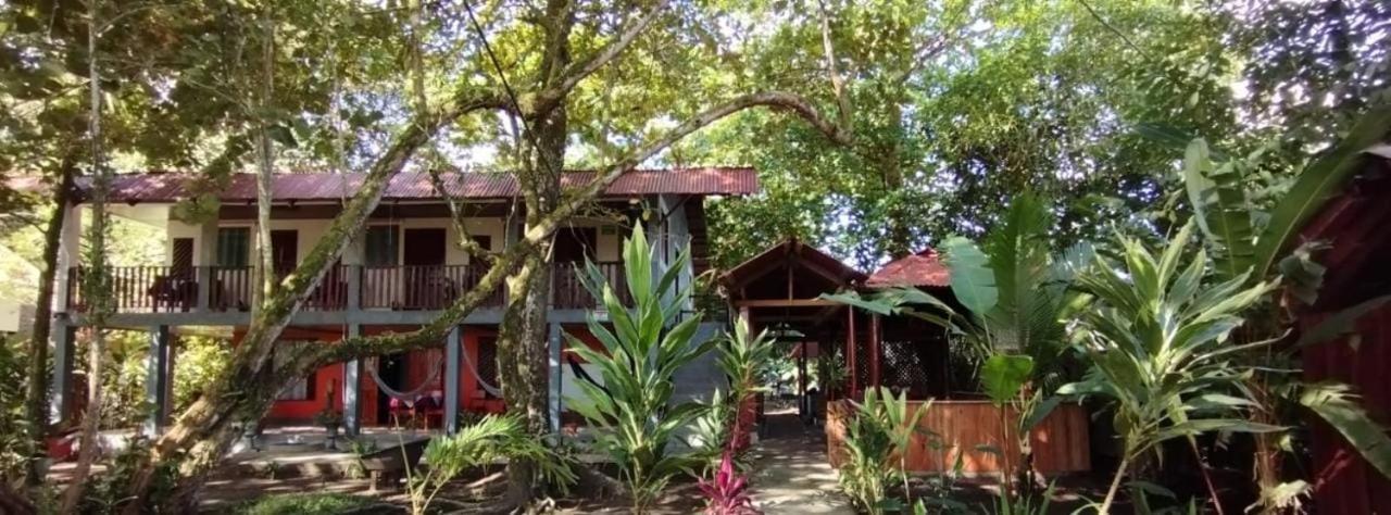 Gecko De Tortuguero Bed & Breakfast Exterior photo