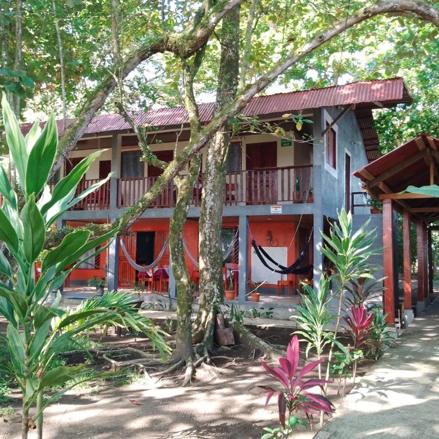 Gecko De Tortuguero Bed & Breakfast Exterior photo