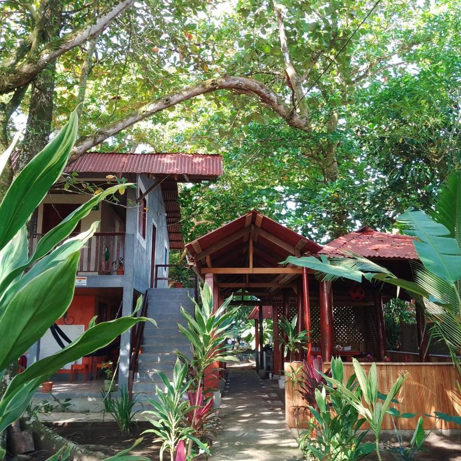 Gecko De Tortuguero Bed & Breakfast Exterior photo