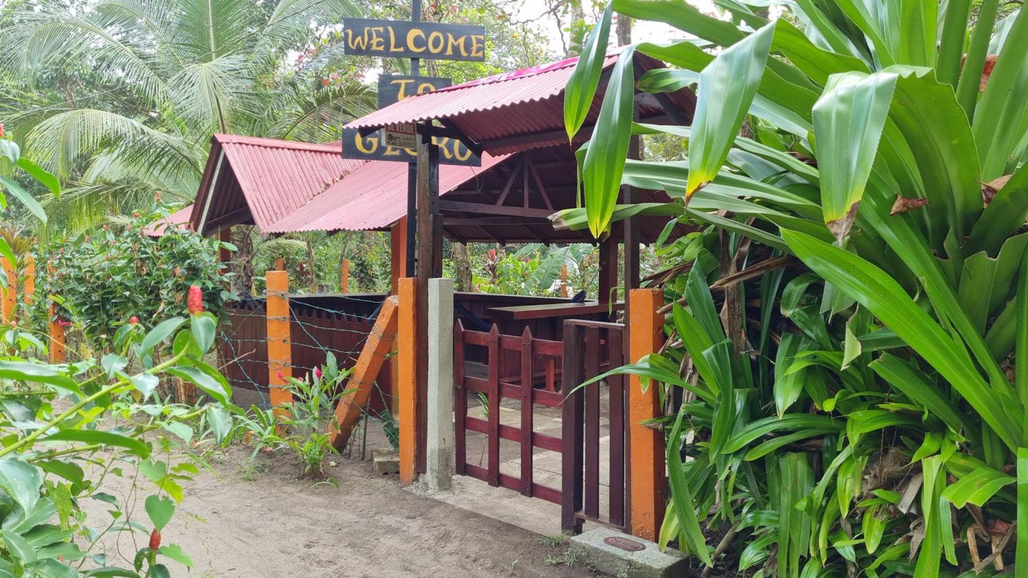 Gecko De Tortuguero Bed & Breakfast Exterior photo