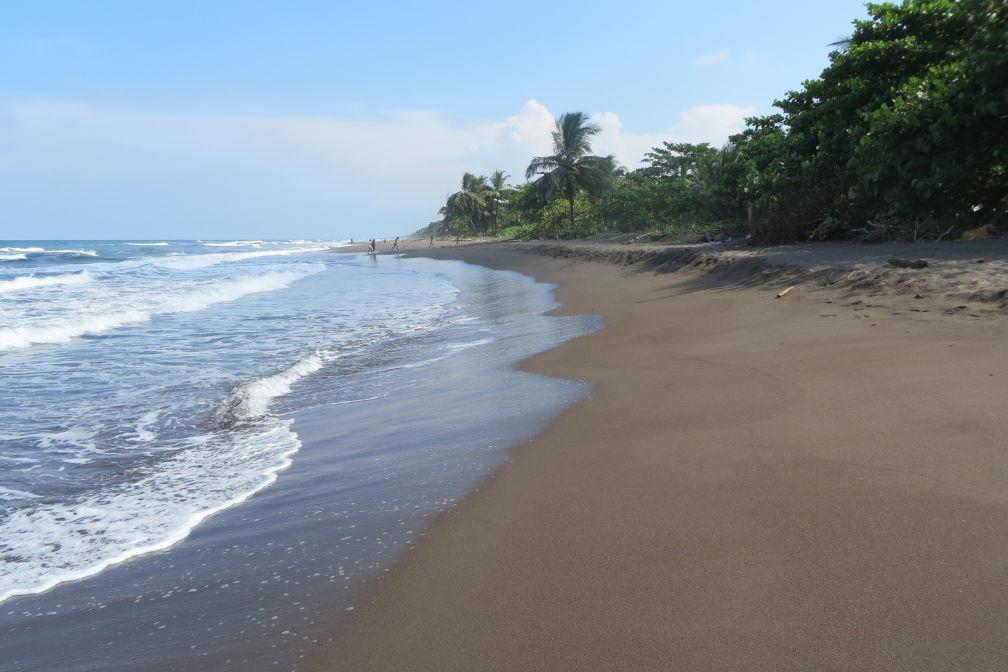 Gecko De Tortuguero Bed & Breakfast Exterior photo