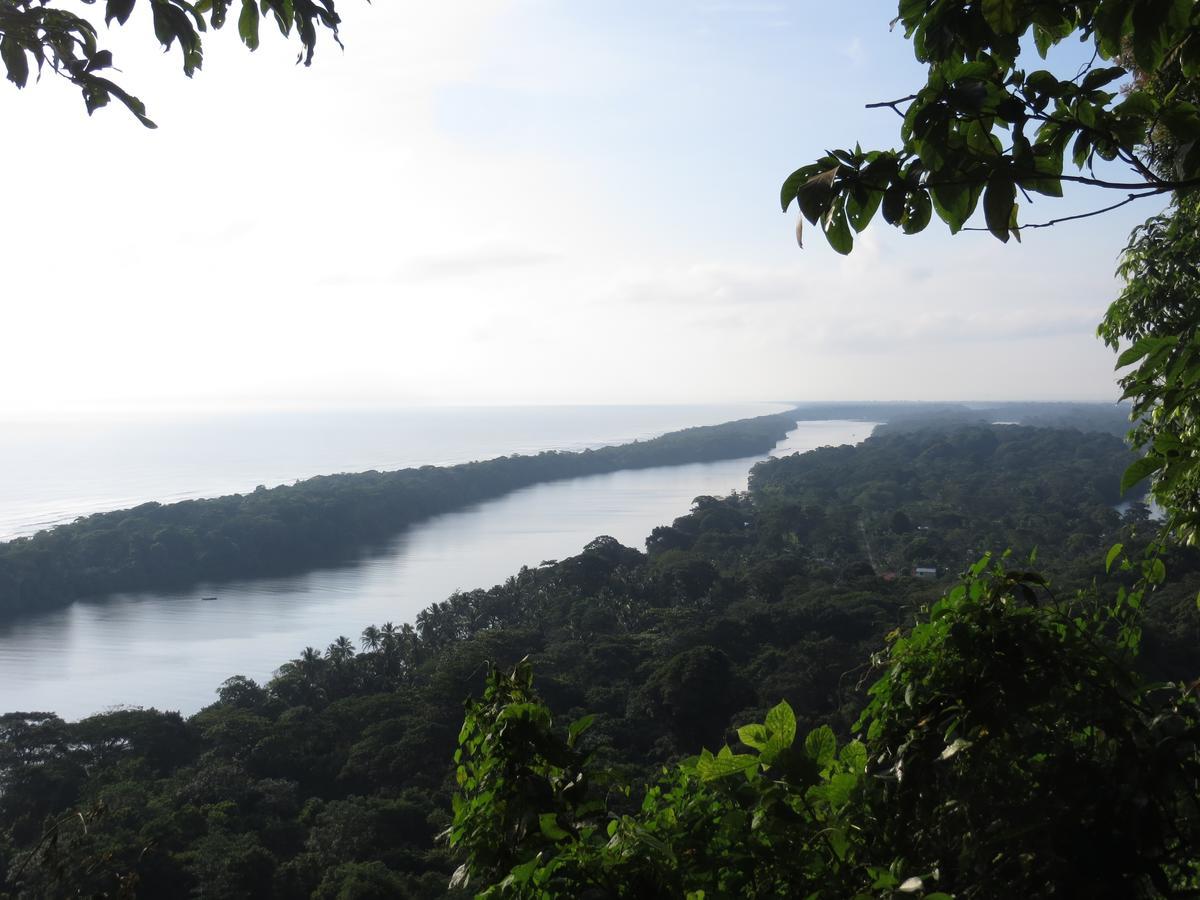 Gecko De Tortuguero Bed & Breakfast Exterior photo