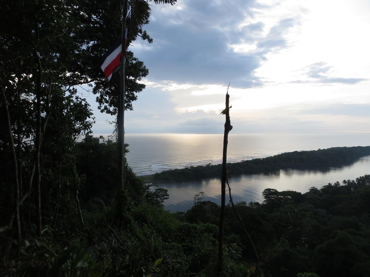 Gecko De Tortuguero Bed & Breakfast Exterior photo