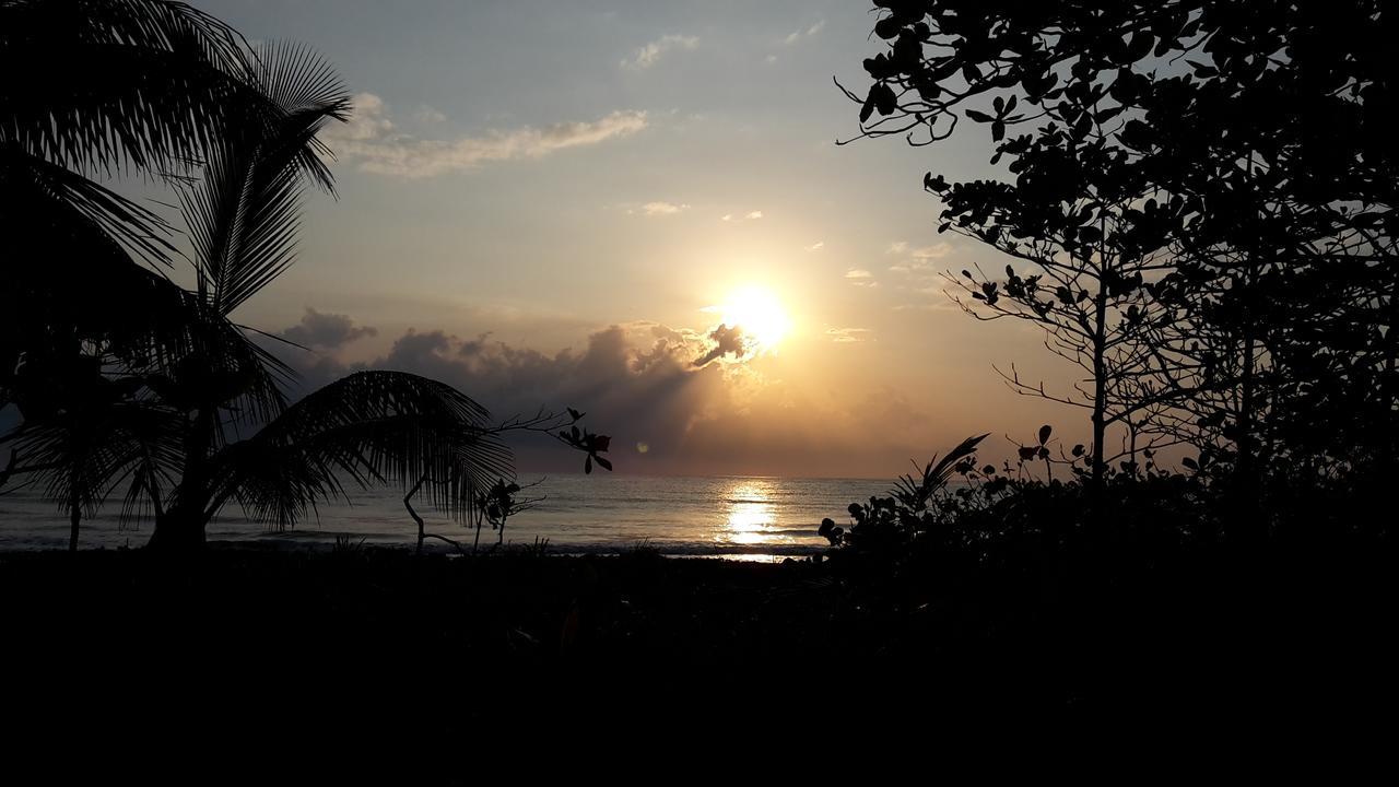 Gecko De Tortuguero Bed & Breakfast Exterior photo