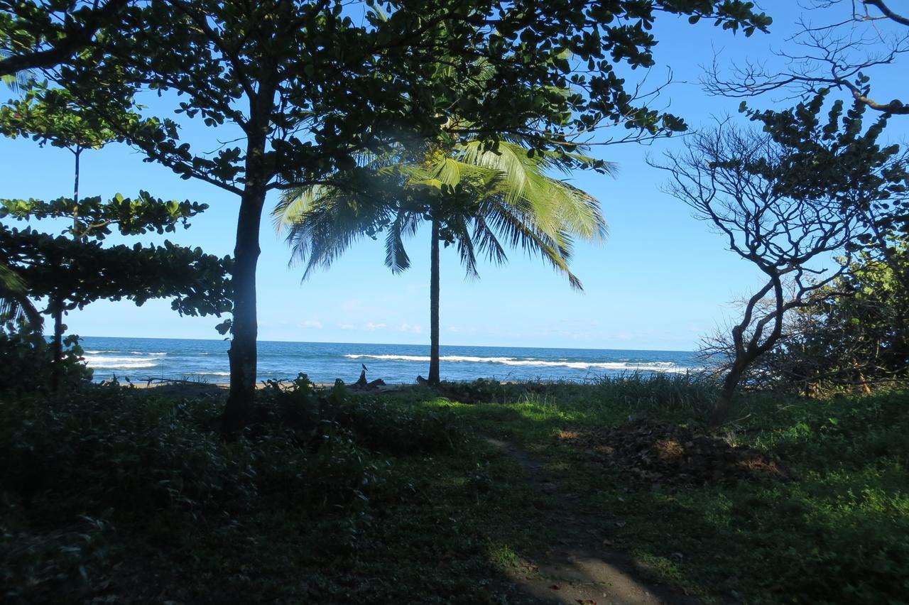 Gecko De Tortuguero Bed & Breakfast Exterior photo